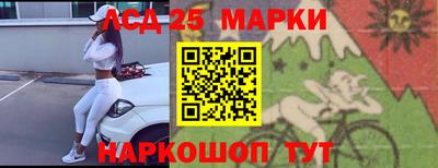 гидра Будённовск