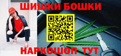 гидра Будённовск