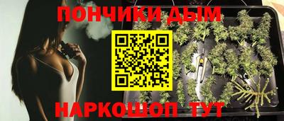 гидра Будённовск