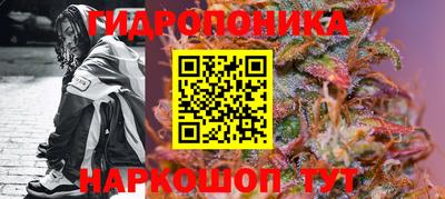 гидра Будённовск