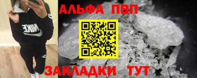 гидра Будённовск