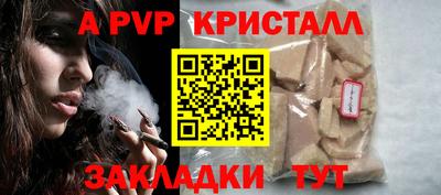 гидра Будённовск