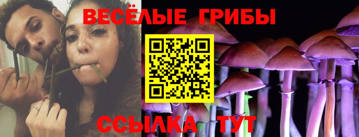 Новозыбков  Галлюциногенные грибы мицелий  Вход с VPN 